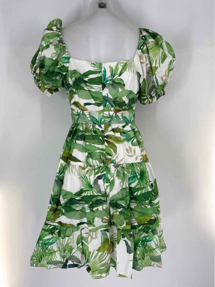 Size 6 ANTONIO MELANI Green Print Dress