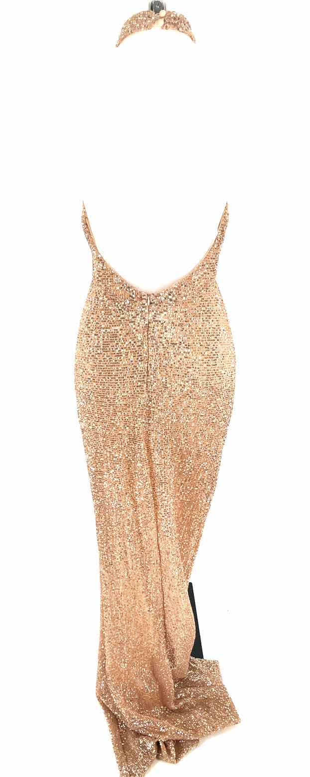 Size M Champagne Sequined Dress