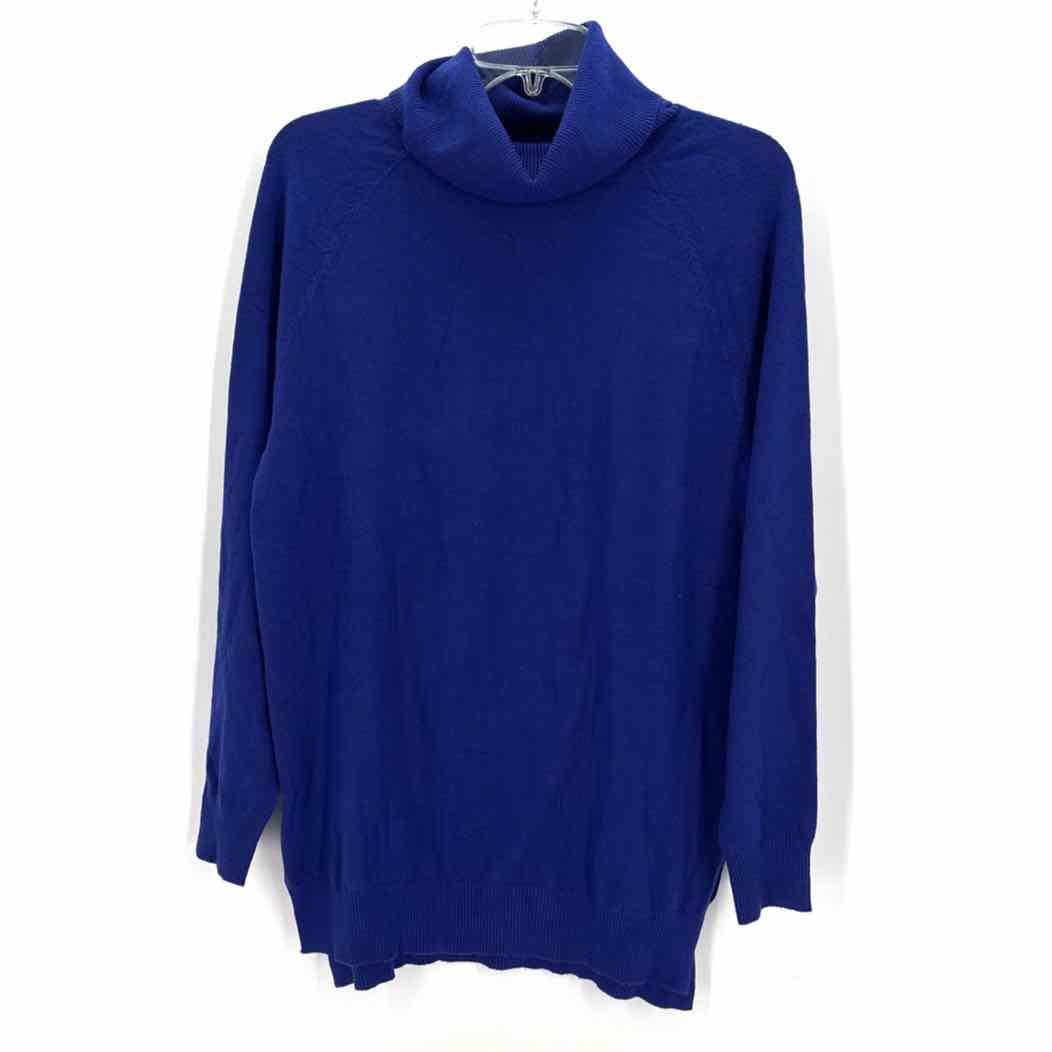 Size M Blue Sweater