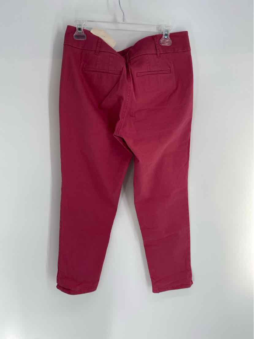 Size 8 LOFT Pink Pants