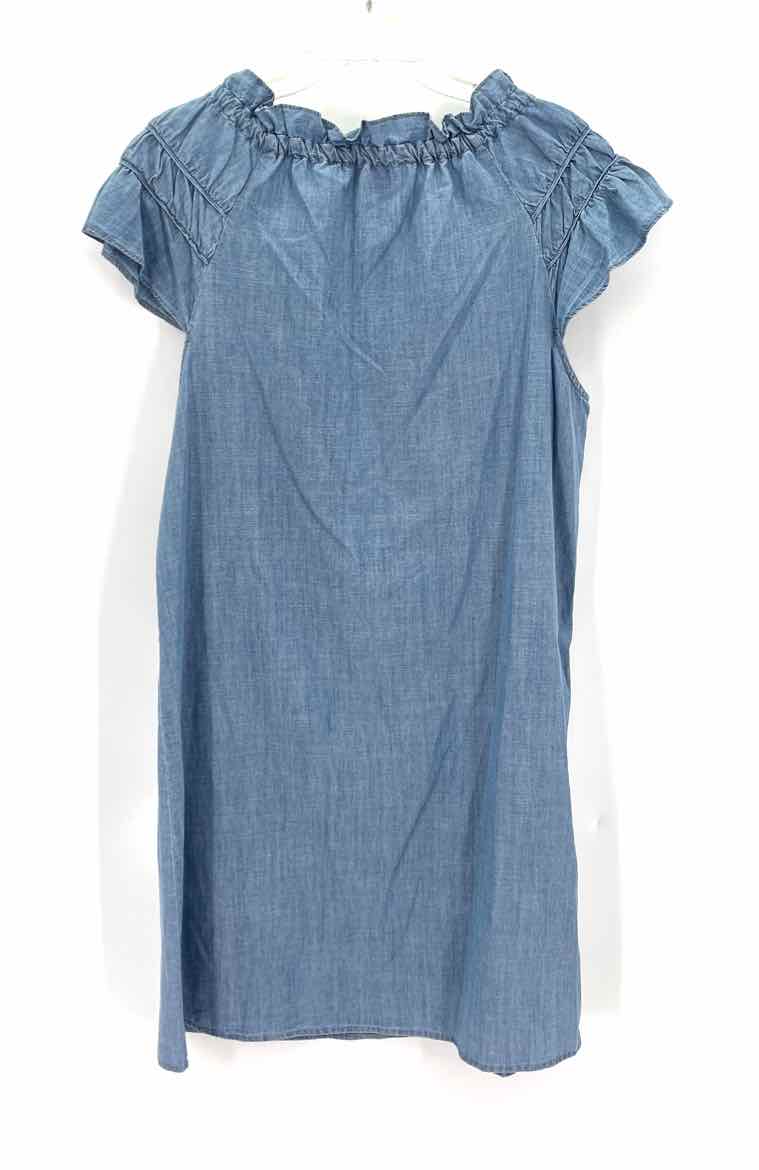 Size XL Blue Chambray Dress