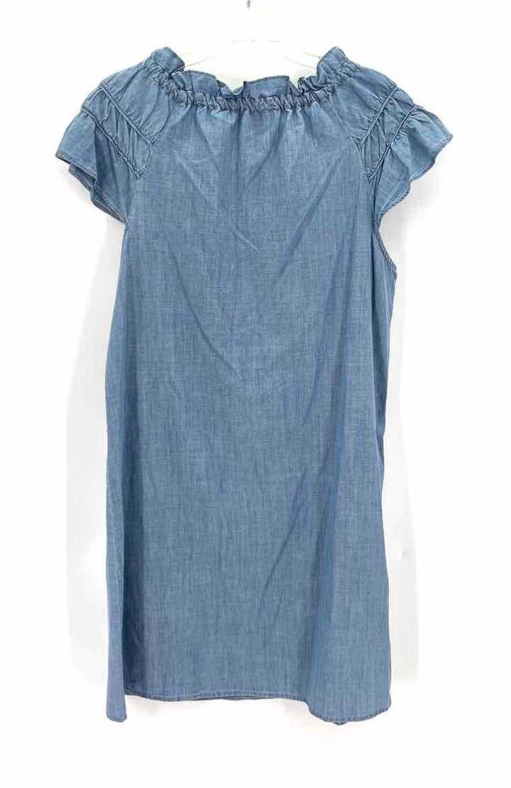 Size XL Blue Chambray Dress