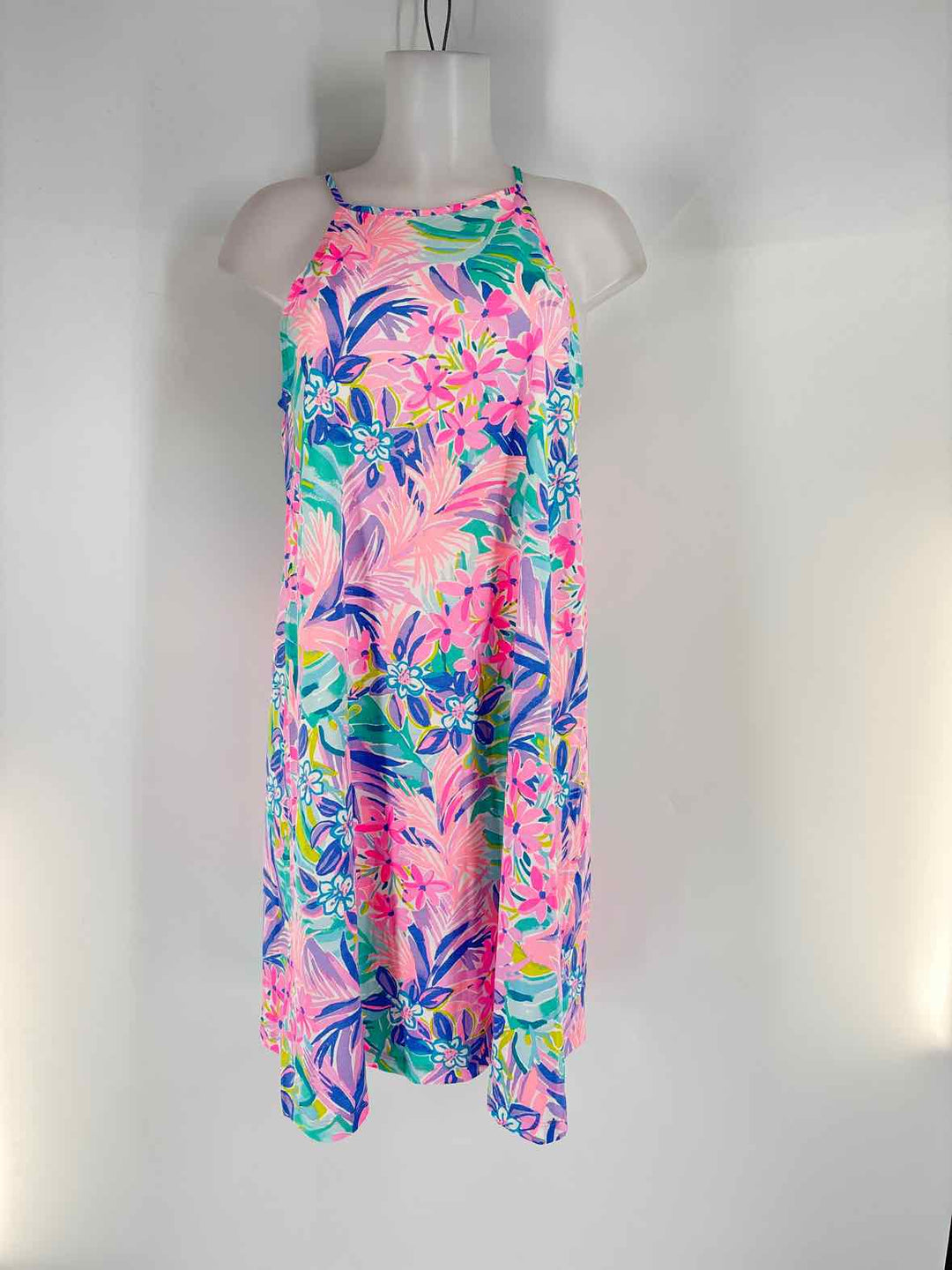 Size L Lilly Pulitzer Multi-Color Dress