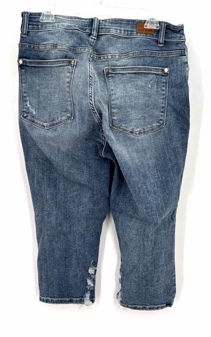 Size 14W JUDY BLUE Blue Denim Jeans