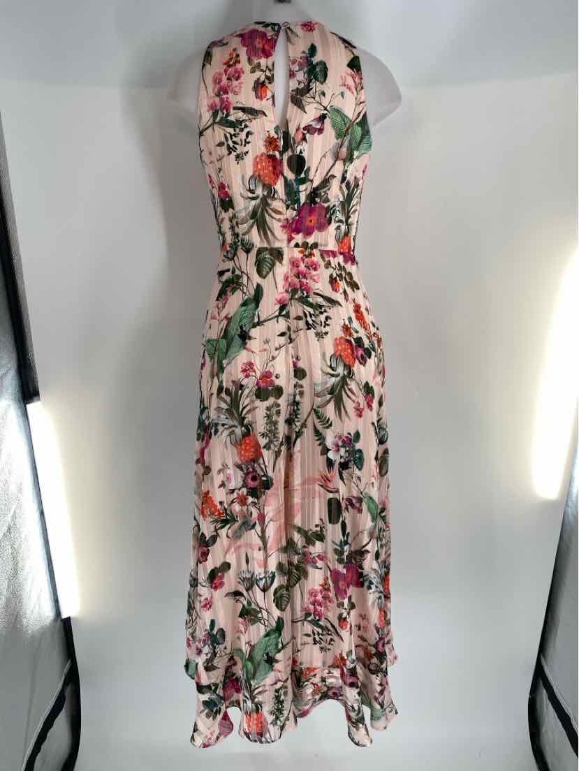 Size 2 Banana Republic PINK PRINT Dress