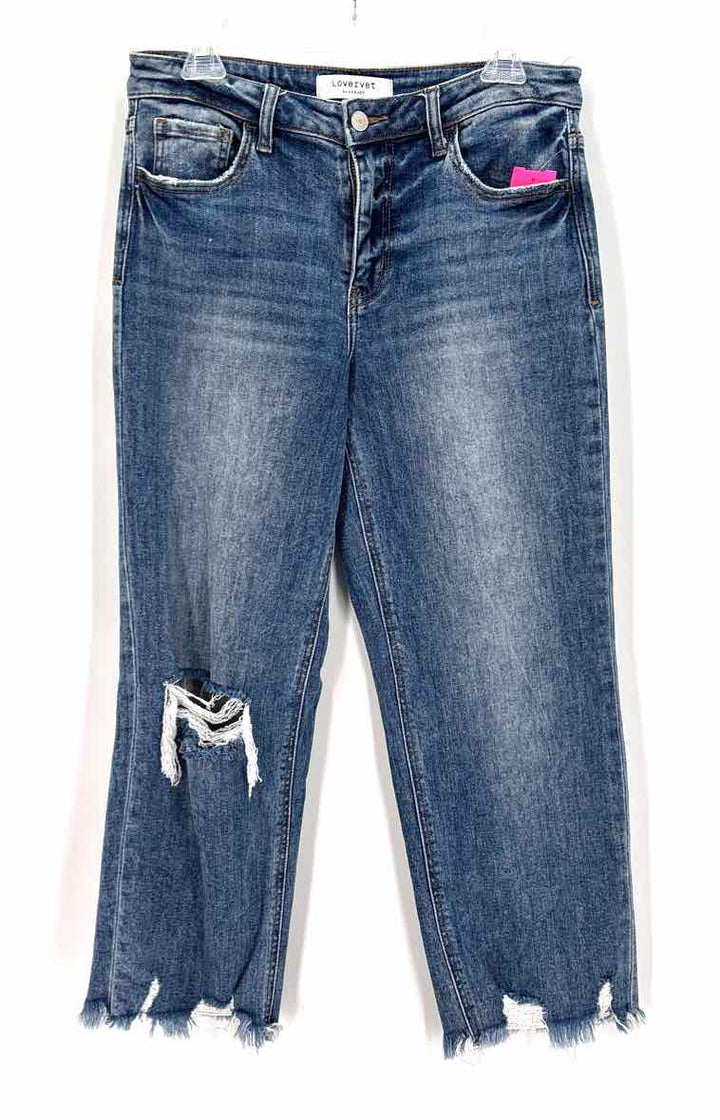Size 28 VERVET Denim Pants