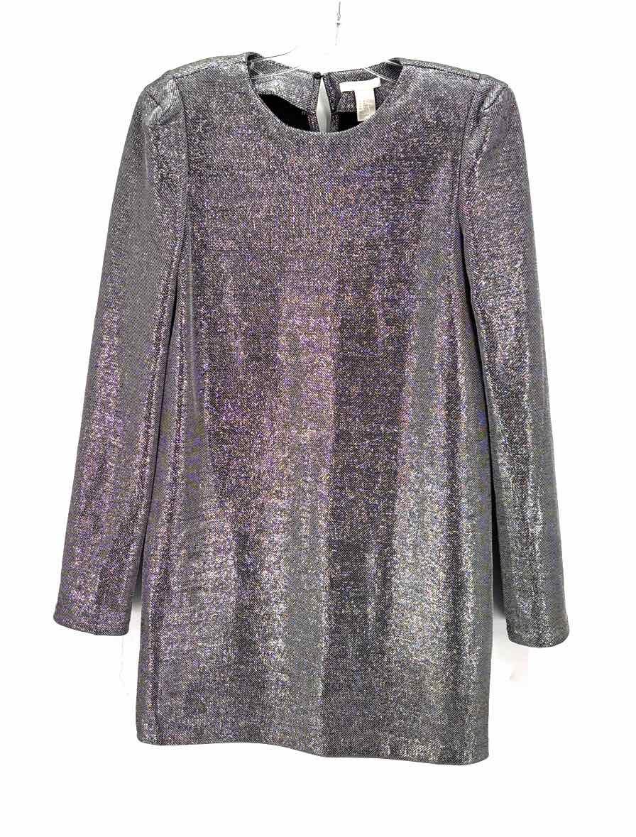 Size 10 H&M Silver Dress