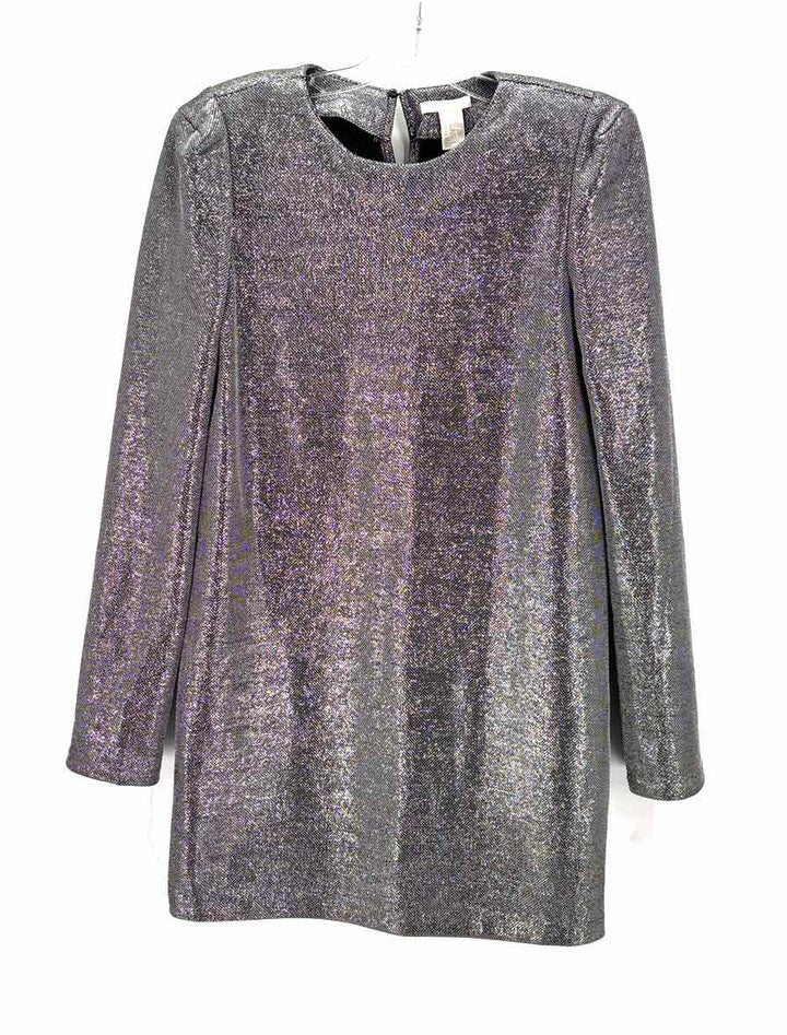 Size 10 H&M Silver Dress