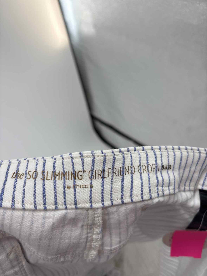 Size 1X Chico's Blue Pants