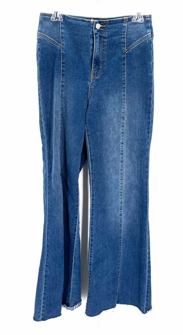 Size 27 WE THE FREE Denim Pants