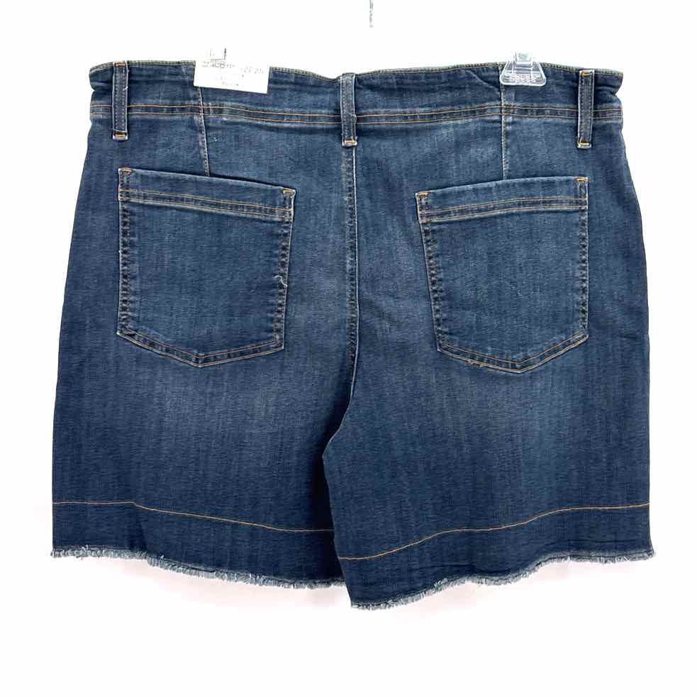 Size 14 Chico's Blue Shorts