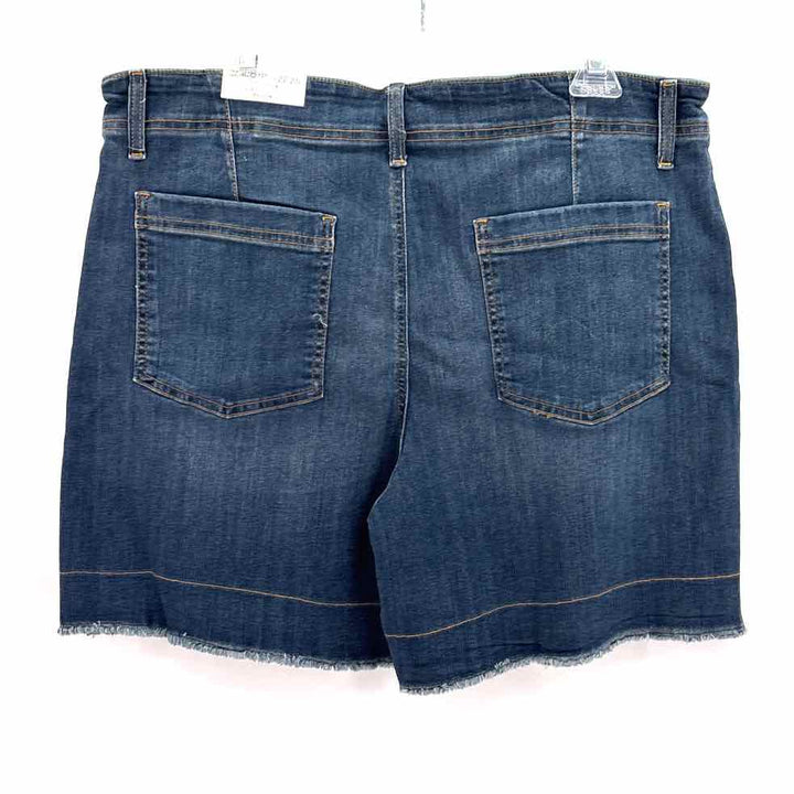 Size 14 Chico's Blue Shorts