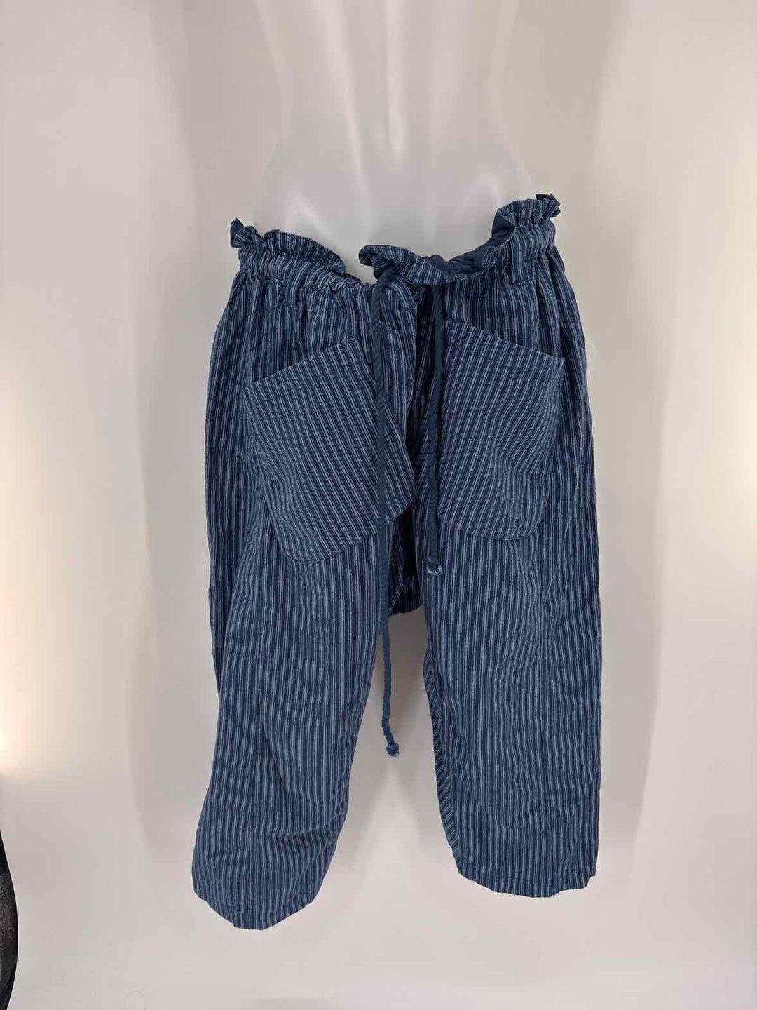 Size M FREE PEOPLE Blue Pants