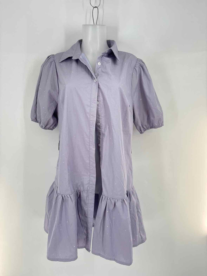 Size 12 Purple Dress