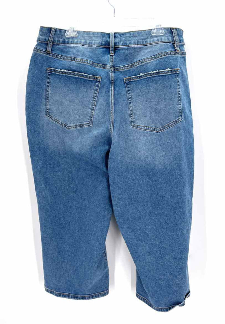 Size 18 LANE BRYANT Blue Denim Jeans