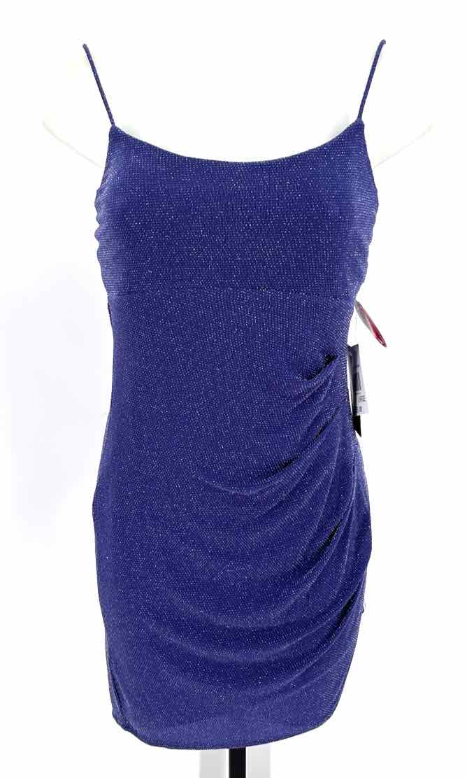 Size L Purple Dress
