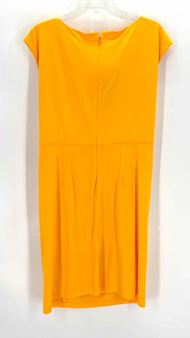 Size 16 Mustard Dress