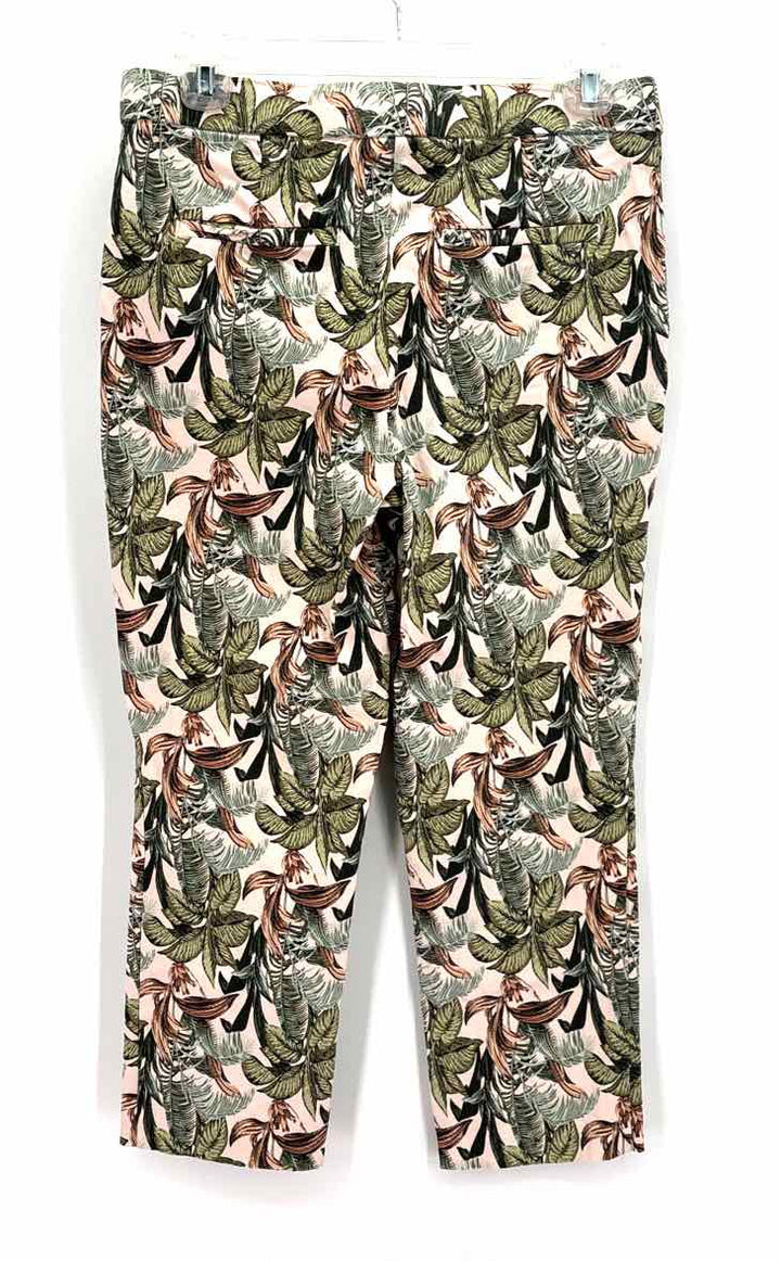 Size M Multi-Color Pants