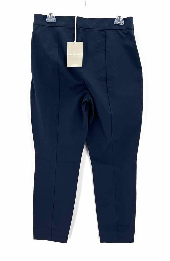 Size 12 EVERLANE Navy Pants