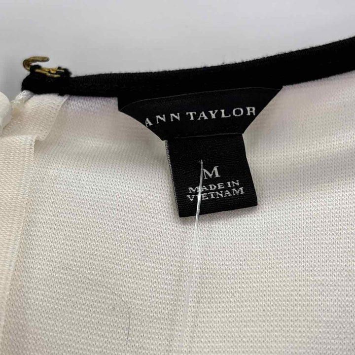 Size M Ann Taylor Multi-Color Knit Shirt