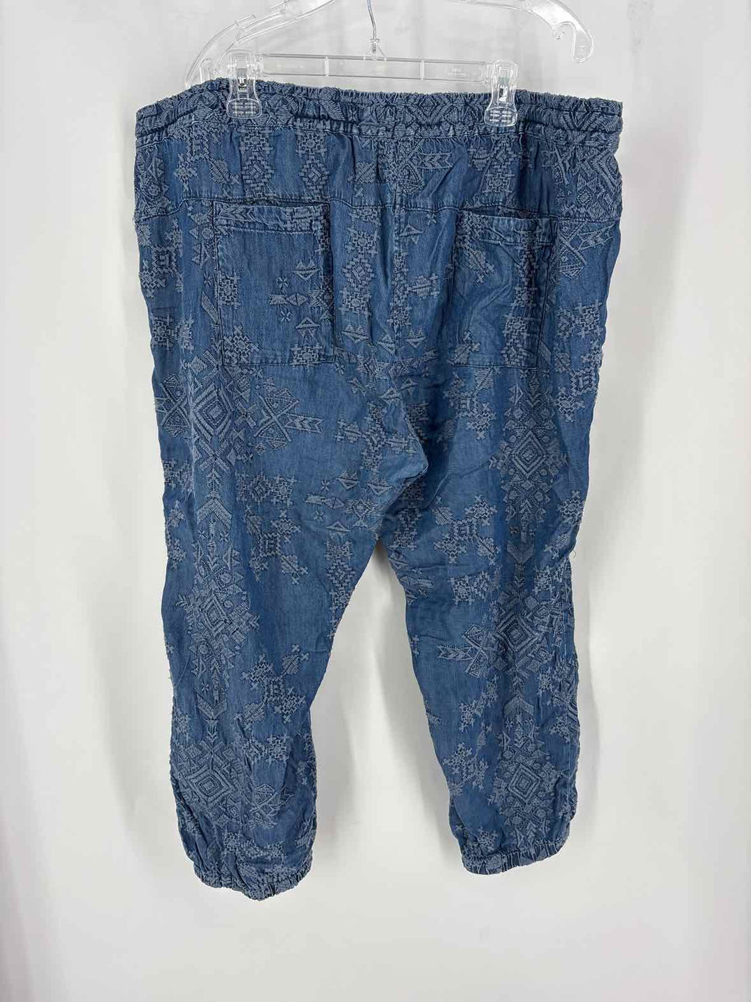 Size XXL Johnny Was Denim Pants