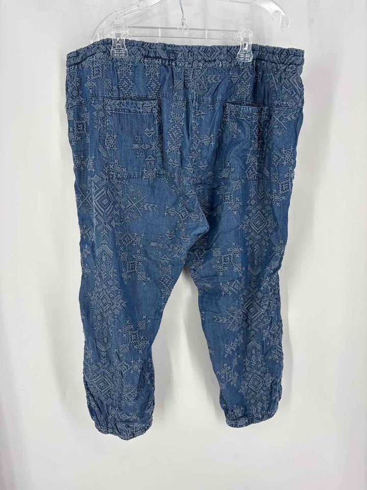 Size XXL Johnny Was Denim Pants