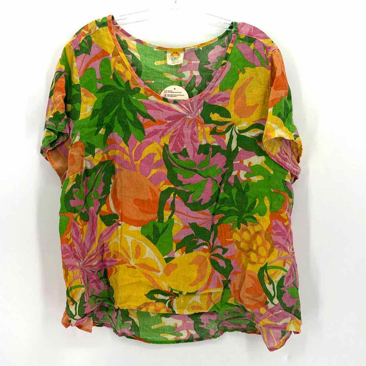 Size 2X C&C Multi-Color Linen Shirt