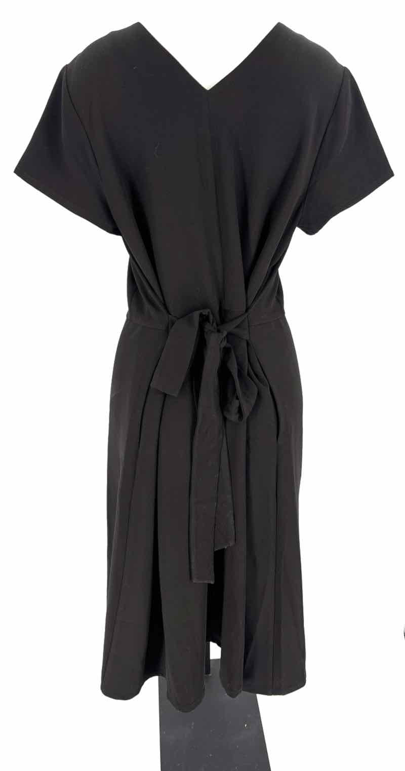 Size XS UNIVERSAL STANDARD Black Dress