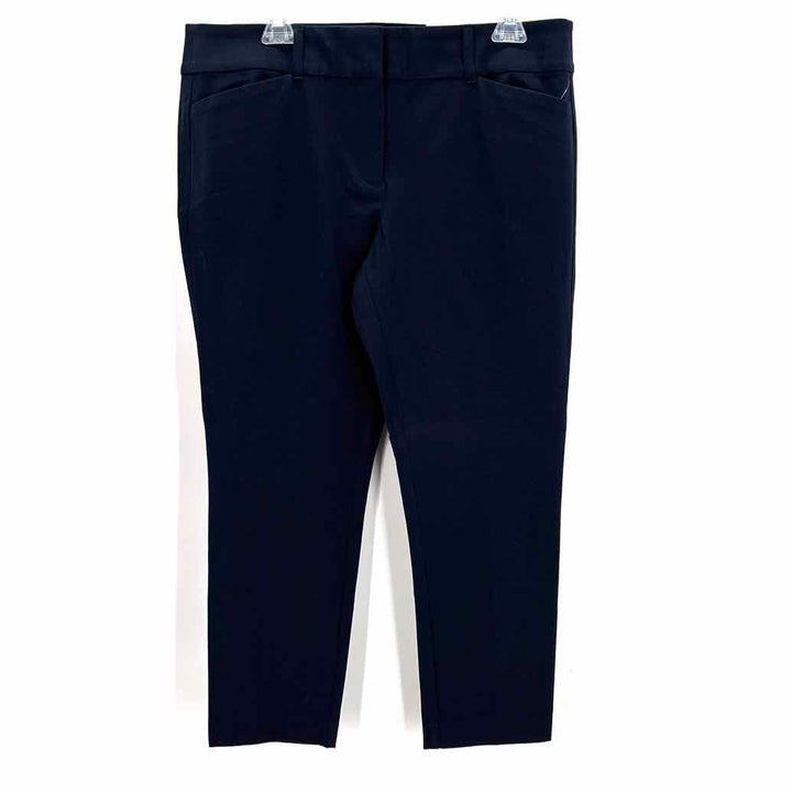Size 14P LOFT Navy Pants