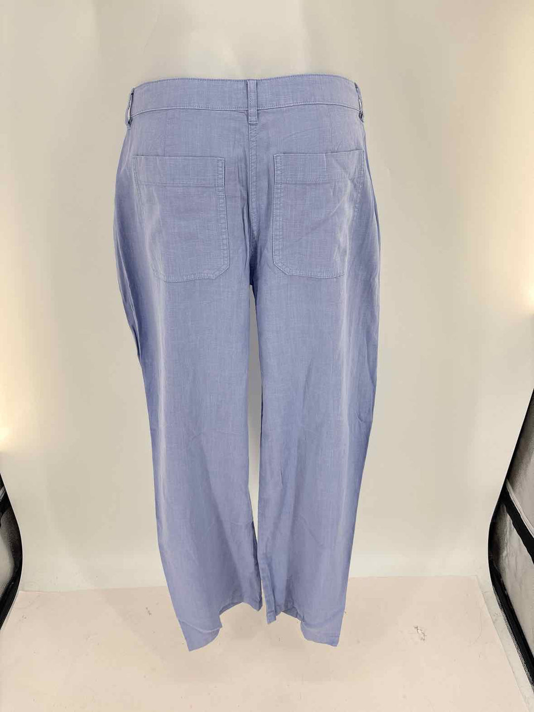 Size 4 J Crew Purple Linen Pants