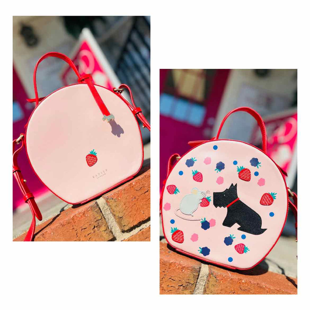 RADLEY Purse