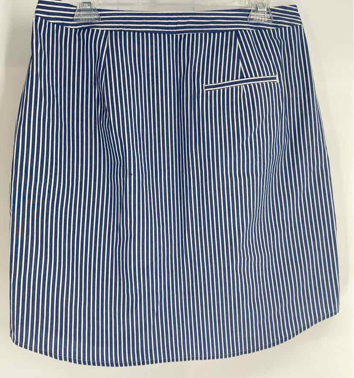 Size 8 Banana Republic Blue Skirt