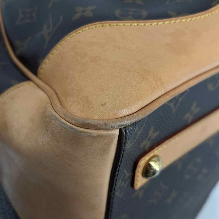Louis Vuitton Luxury - Purse