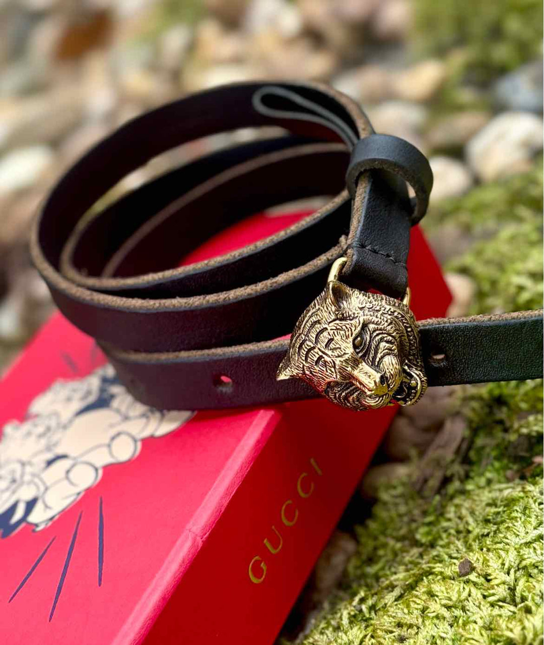 Gucci Luxury - Belt