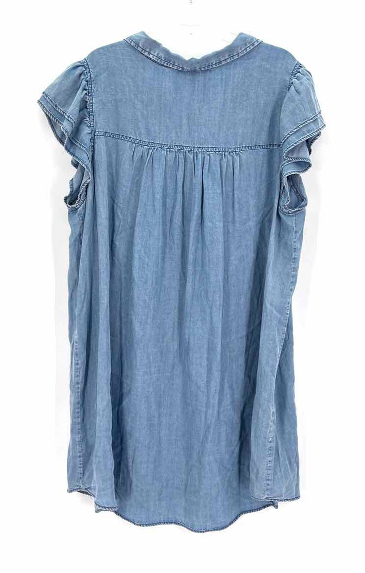 Size 2X Jane & Delaney Blue Chambray Dress
