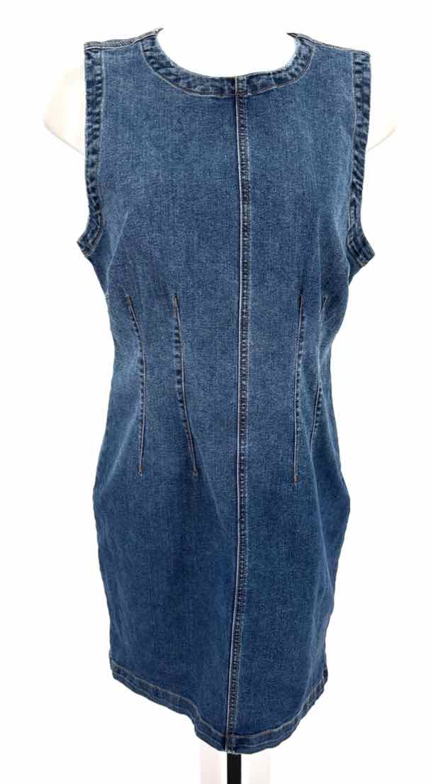 Size L Denim Dress