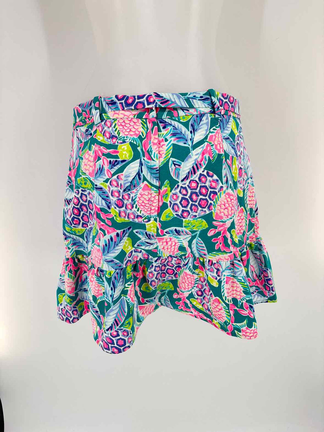 Size 10 Lilly Pulitzer Multi-Color Skirt
