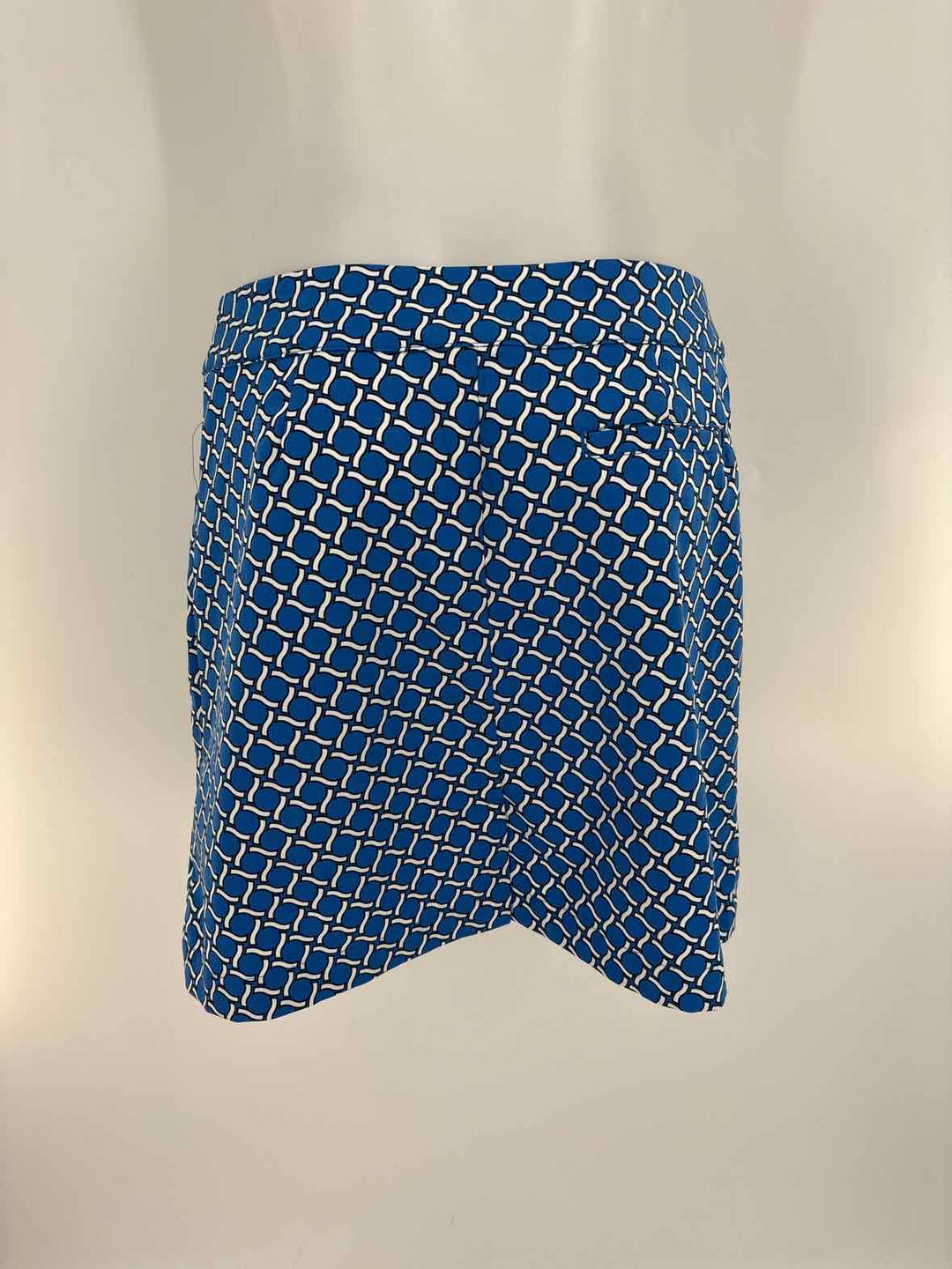 Size 6 TAIL Blue Skirt
