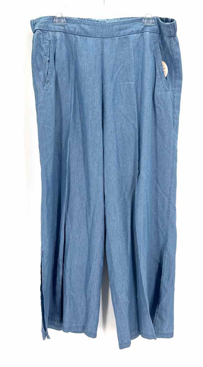Size L NY & CO Blue Chambray Pants