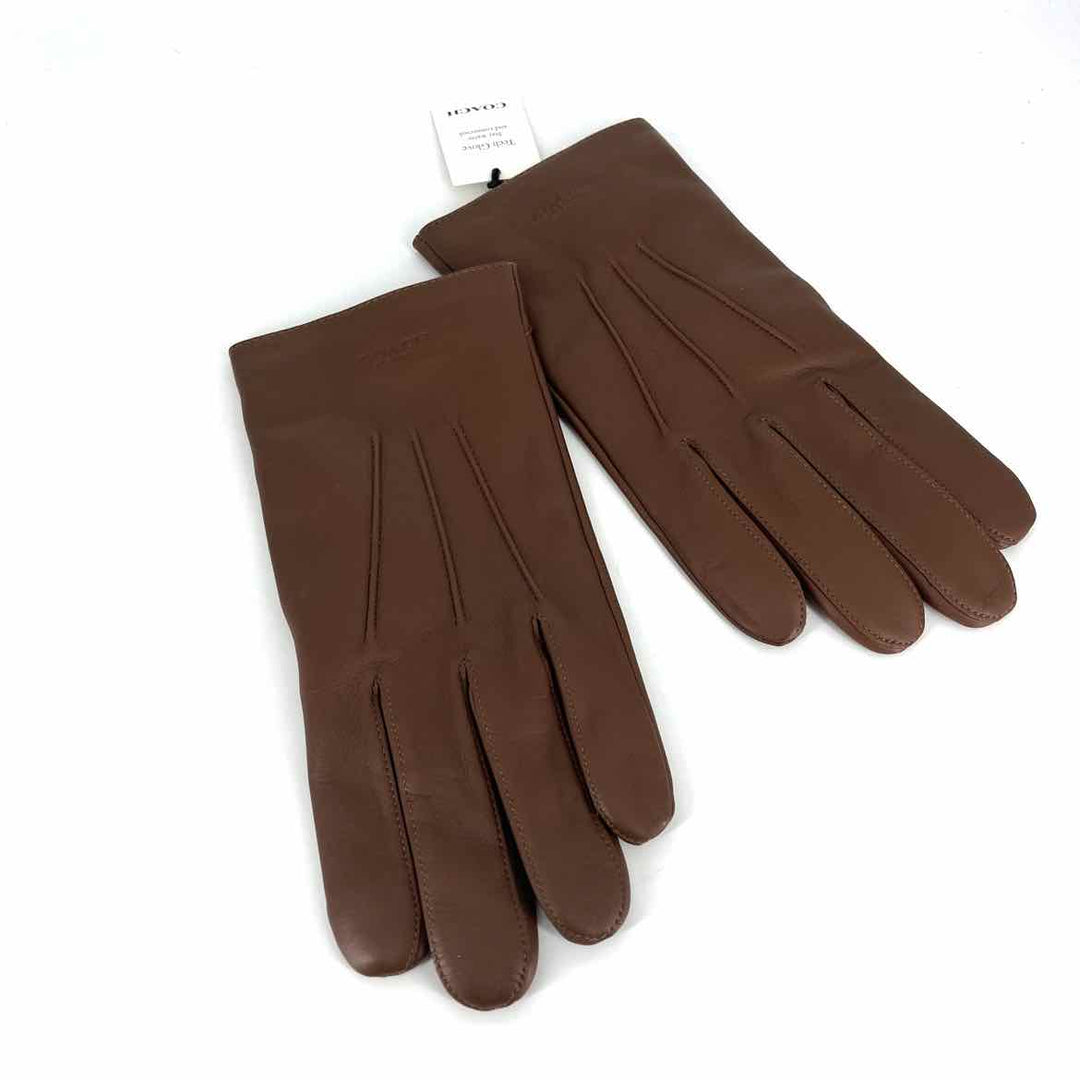 Coach Gloves