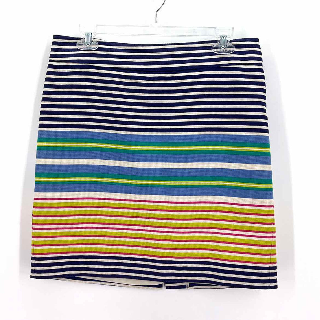 Size 6 LOFT Blue Print Skirt