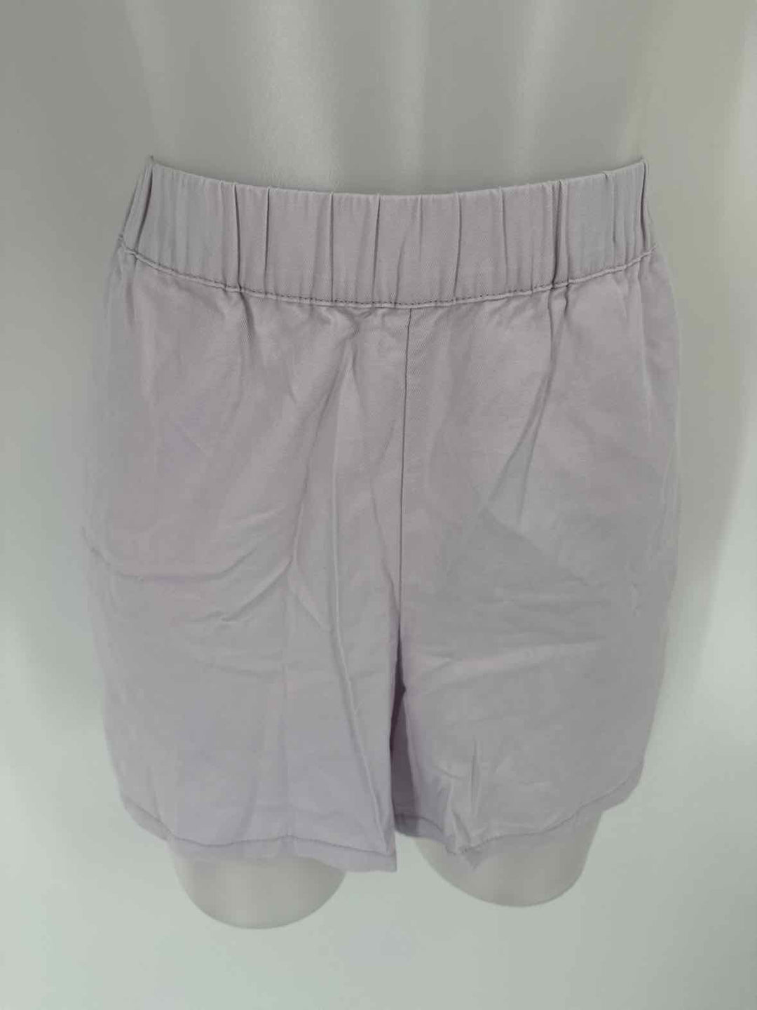 Size L MADEWELL Lavender Shorts