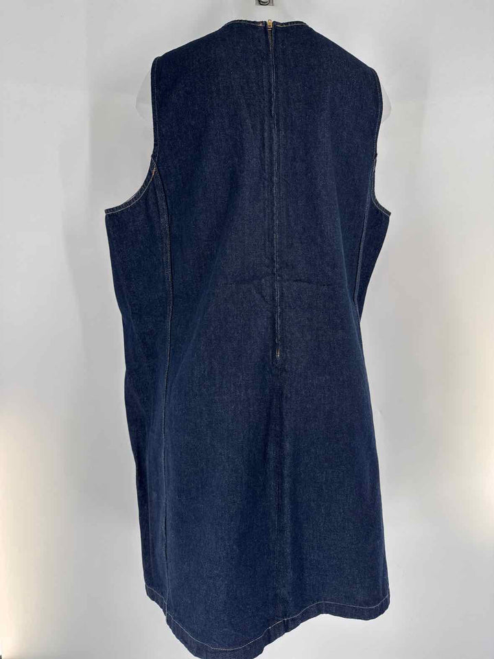 Size 2X J Crew Denim Dress