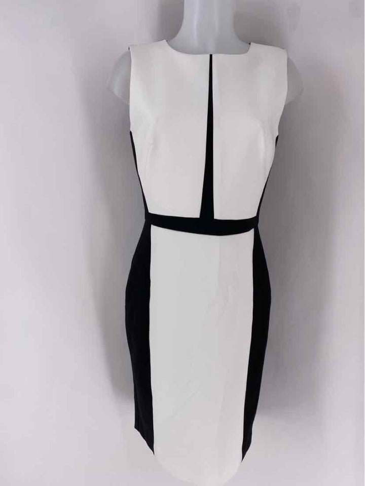 Size 8 White House Black Market Black/White Dress