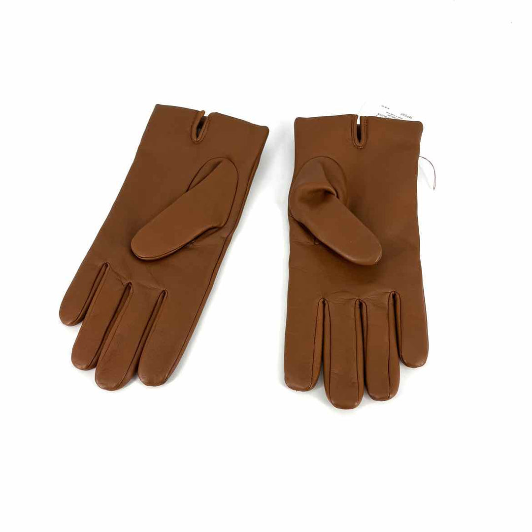 Coach Gloves