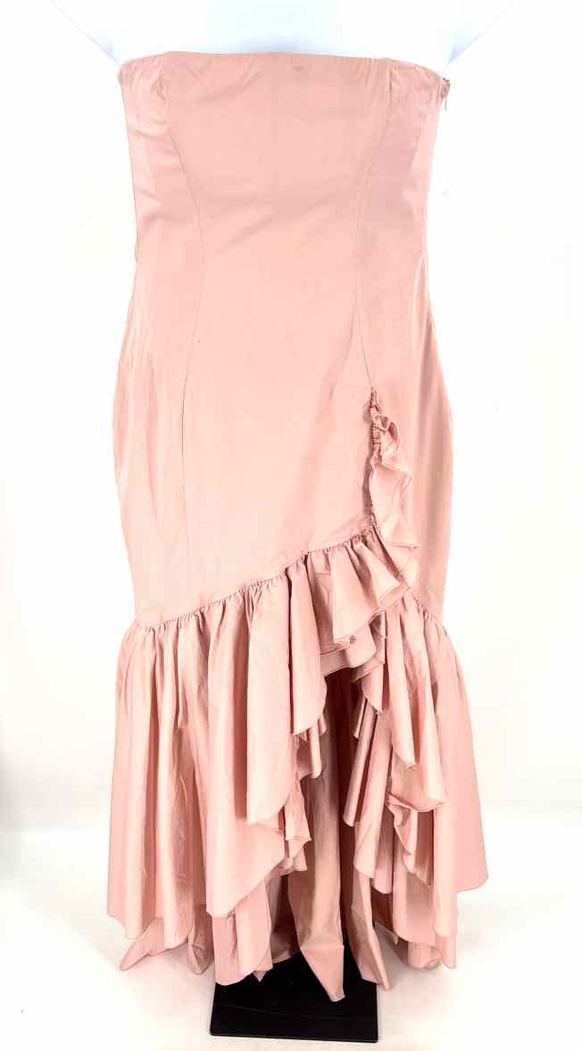 Size XXL Blush Dress