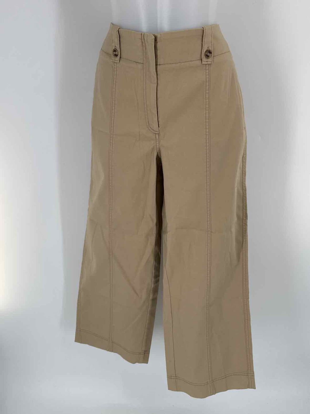 Size 10 Chico's Tan Pants