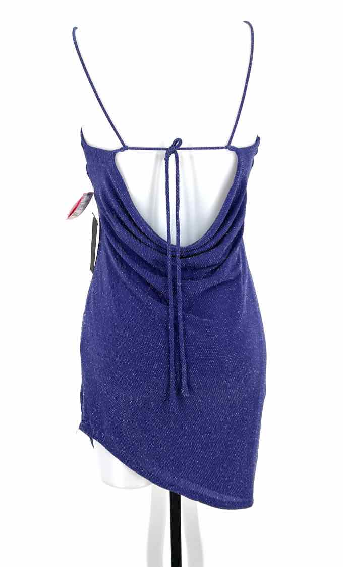 Size L Purple Dress