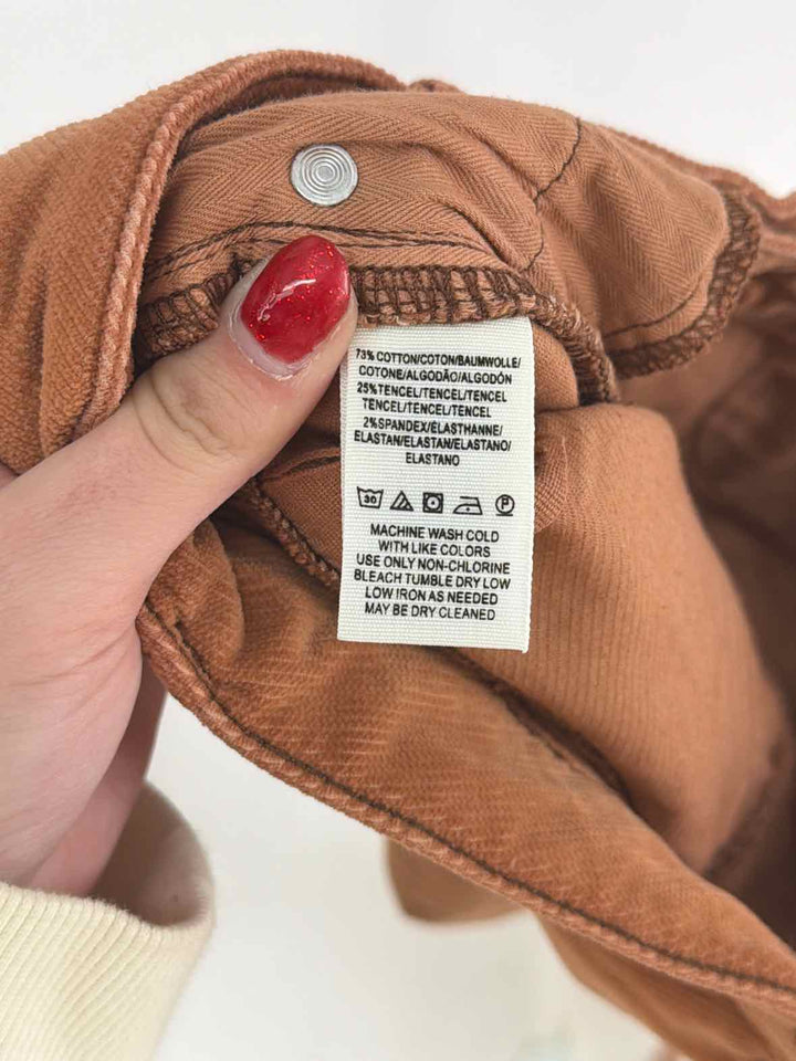 Size 30 FREE PEOPLE Tan Velour Pants