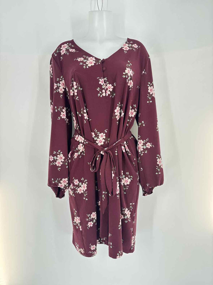 Size 16 Ann Taylor Burgundy Dress